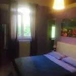 La Corte 2